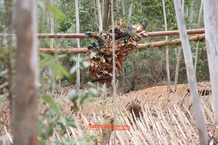 Các chiến sĩ cảnh sát cơ động thực hiện kỹ thuật lợi dụng địa hình cây đổ vượt vật cản bãi chông.