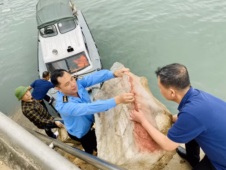 Cán bộ, nhân viên Ban Quản lý Vịnh Hạ Long di chuyển rác thải lên bờ để đưa về khu vực tập kết.