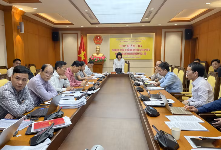 Đồng chí Bùi Thị Hương, Trưởng Ban Kinh tế - Ngân sách HĐND tỉnh phát biểu tại buổi làm việc.