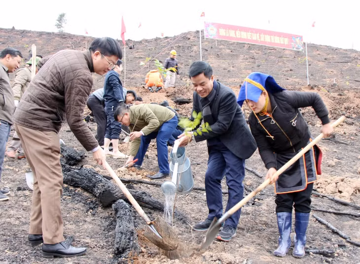 Lãnh đạo HND tỉnh, huyện Ba Chẽ cùng nông dân xã Thanh Sơn tham gia trồng rừng gỗ lớn tại Lễ phát động 