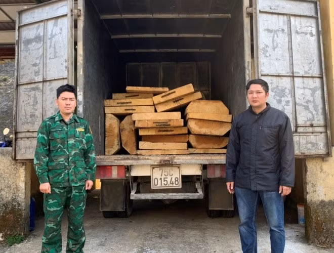 Số gỗ không rõ nguồn gốc được vận chuyển trên xe tải.