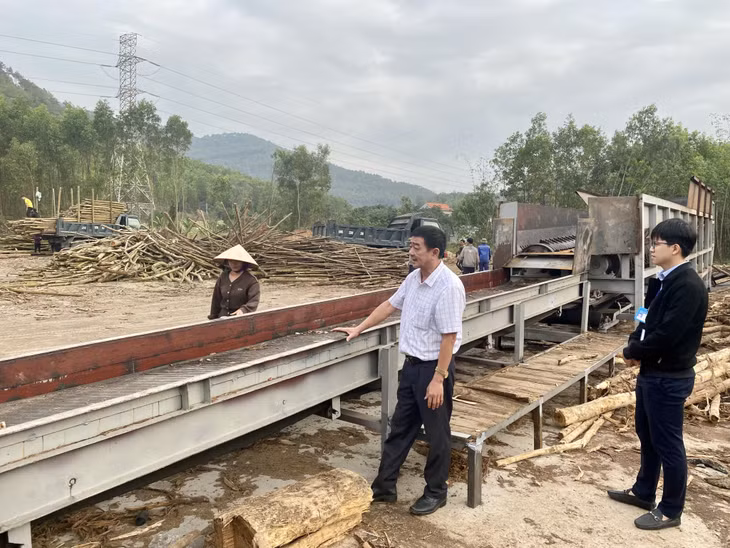 Lãnh đạo xã Hồng Thái Đông kiểm tra, đôn đốc việc tháo dỡ của cơ sở chế biến dăm gỗ trái phép.