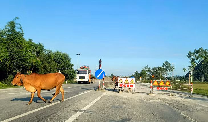 Quốc lộ 1A đoạn qua Hà Tĩnh xuống cấp nghiêm trọng gây khó khăn cho người và phương tiện trong quá trình lưu thông.