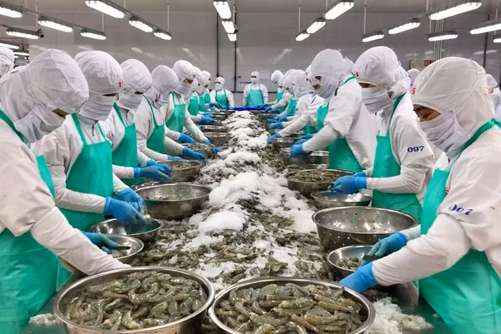 Xuất khẩu thủy sản dược kỳ vọng tăng trưởng trong năm nay.