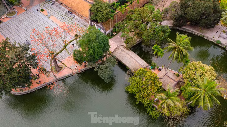 Mỗi độ tháng 3 về, cây gạo cổ thụ ở Chùa Thầy (huyện Quốc Oai, TP Hà Nội) lại bắt đầu nở hoa, nhuộm lên những sắc đỏ rực rỡ trong không gian ngôi chùa cổ kính nghìn năm tuổi.