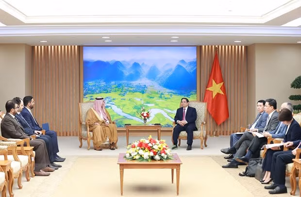 Thu tuong Pham Minh Chinh tiep Dai su Saudi Arabia tai Viet Nam hinh anh 3