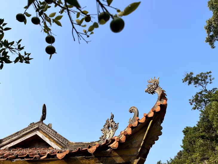 Thăm chùa Vạn Triều ảnh 5