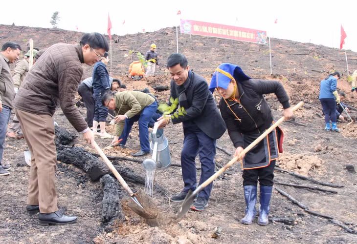 Lãnh đạo HND tỉnh, huyện Ba Chẽ và hội viên, nông dân xã Thanh Sơn trồng rừng gỗ lớn dịp Tết trồng cây năm 2023.