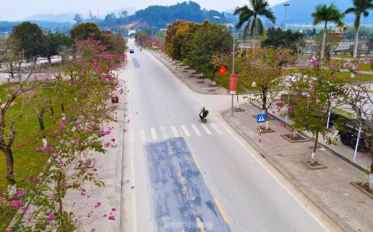 Đầu tháng 3/2023, những con đường ở Khu di tích lịch sử Quốc gia Truông Bồn (xã Mỹ Sơn, huyện Đô Lương, Nghệ An) khoác lên một màu sắc tím rực rỡ của hoa ban khiến mỗi người khi qua đây đều phải nán lại để ngắm nhìn.