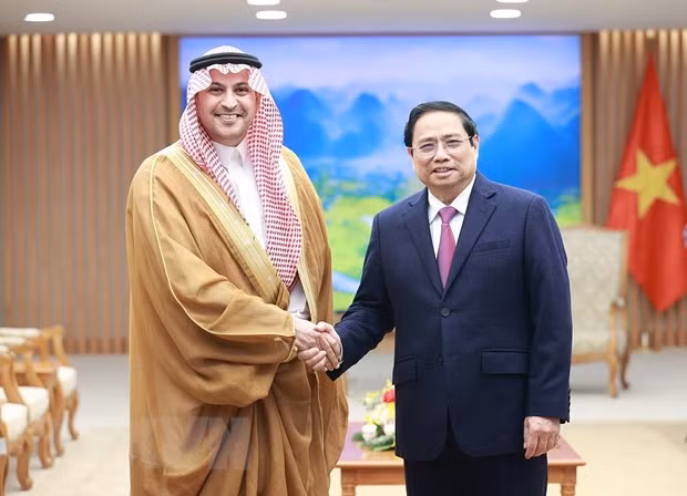 Thu tuong Pham Minh Chinh tiep Dai su Saudi Arabia tai Viet Nam hinh anh 1