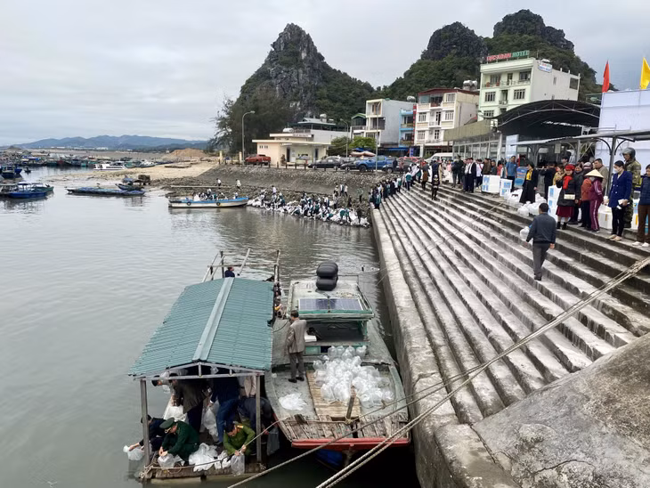 Tại buổi lễ, 2,3 triệu con giống thủy sản có giá trị kinh tế cao đã được thả xuống biển.