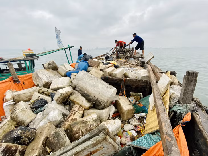 Nhiều rác thải là các cây to, bè mảng phải cần tới 3-4 người mới thu gom được lên tàu.