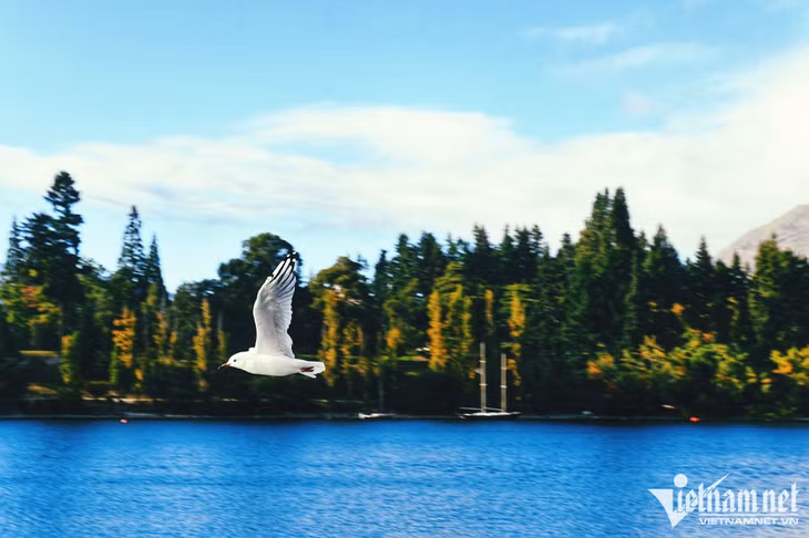 Đặt chân tới Queenstown bất kỳ thời gian nào, du khách cũng sẽ cảm thấy thích thú bởi những nét đẹp rất khác biệt. Được hòa mình vào thiên nhiên và hít thở bầu không khí trong lành, mát mẻ nơi đây là điều nhiều du khách thích thú mà không phải nơi nào cũng có.