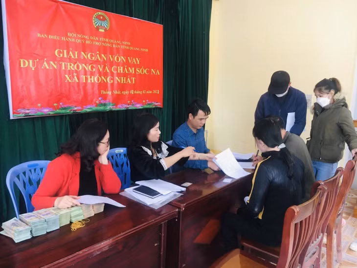 Cán bộ Ban Điều hành Quỹ HTND tỉnh giải ngân nguồn vốn cho các hộ hội viên, nông dân TP Hạ Long tham gia Dự án “Trồng Na an toàn” tại xã Thống Nhất.