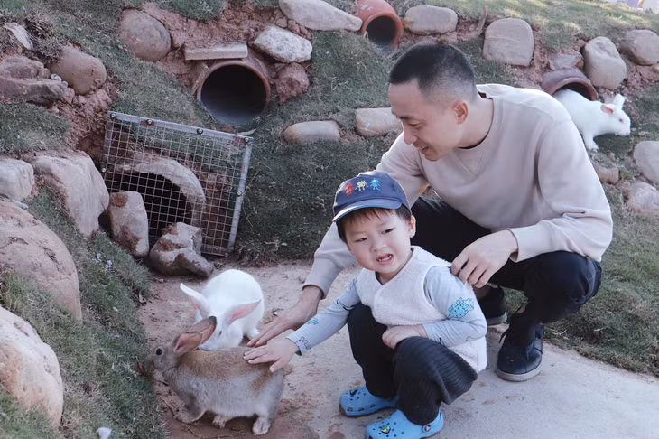Các bạn nhỏ có thể tham quan, tương tác với những động vật nhỏ, hiền lành tại Đảo Tím. Ảnh do đơn vị cung cấp.