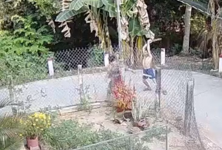 Hình ảnh từ camera ghi lại thời điểm đối tượng đánh hàng xóm.