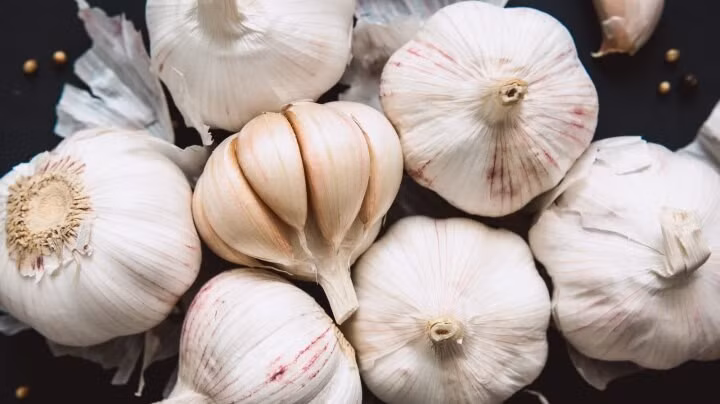 Muốn bảo quản tỏi lâu hơn, bạn cần để nơi thoáng khí, tránh ánh sáng trực tiếp.