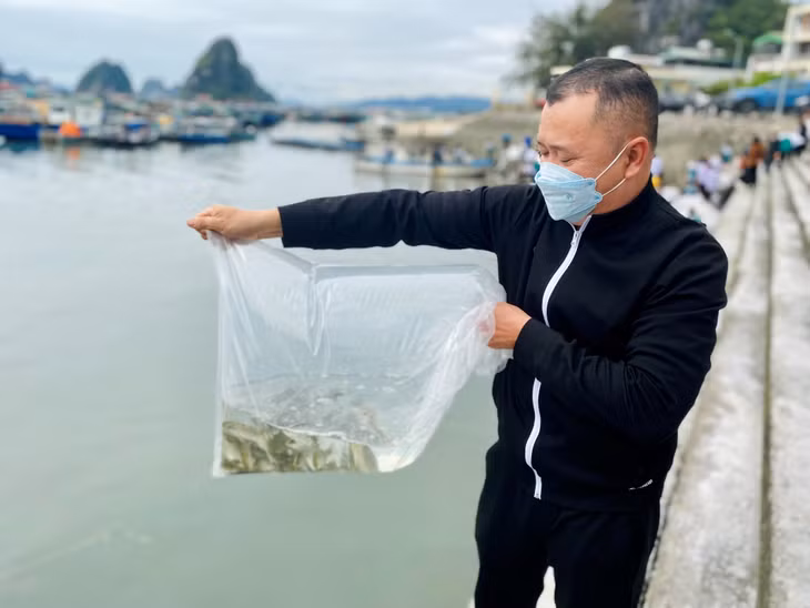 Trong 2,3 triệu con giống được thả về tự nhiên thì có 1,7 triệu con giống do các doanh nghiệp ủng hộ và đều là các loài có giá trị kinh tế cao.