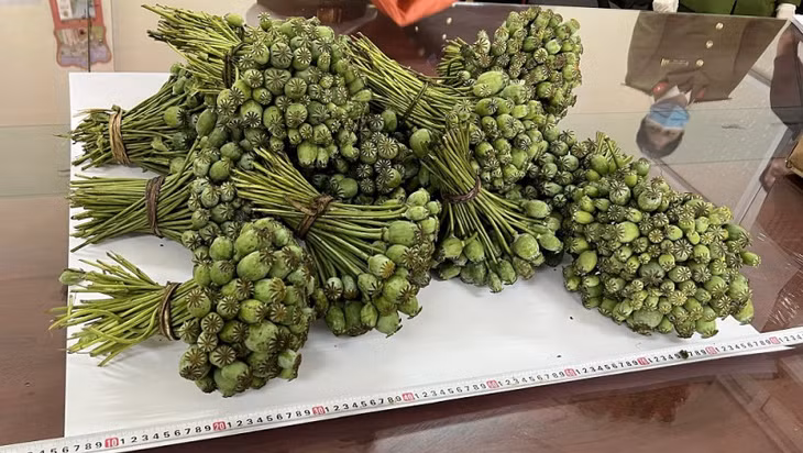 Tang vật thu giữ.