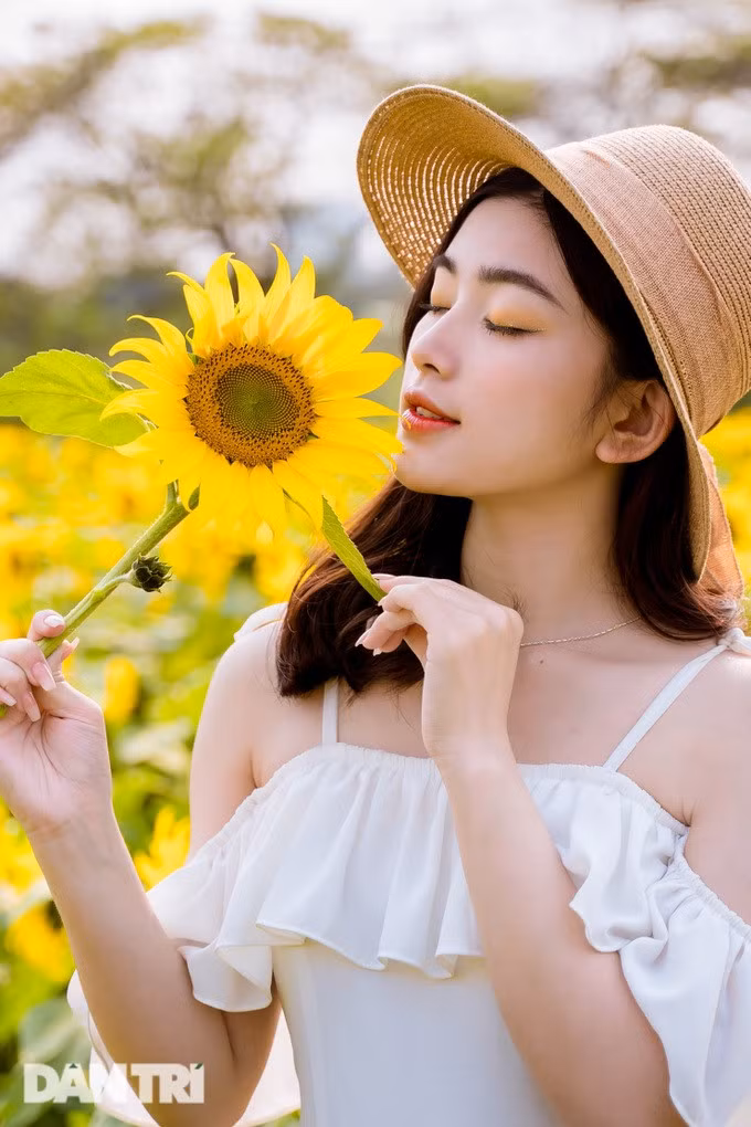 Chị Phương Anh lưu giữ khoảnh khắc tuyệt đẹp tại vườn hoa hướng dương.