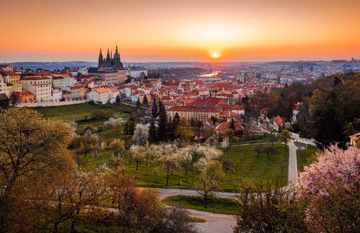 Mùa hoa anh đào ở thủ đô Praha ảnh 1