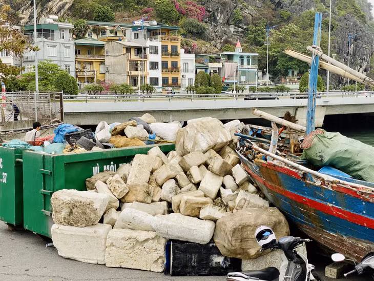 Toàn bộ lượng rác thải sẽ được Ban Quản lý Vịnh Hạ Long tập kết tại khu vực cố định để đơn vị vận chuyển, xử lý rác thải tiến hành xử lý theo đúng quy định. Đây cũng chỉ là phần rất nhỏ lượng phao xốp được thu gom, vận chuyển lên bờ trong ngày 24/3.
