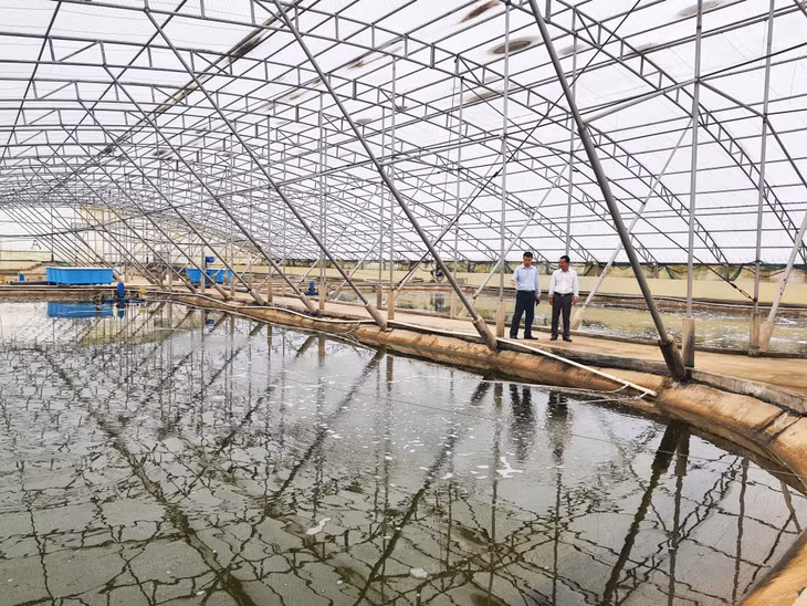 Công ty CP thuỷ sản Phương Anh dành đến 11ha để sản xuất, ương, dưỡng giống thuỷ sản nuôi biển với hệ thống các ô lồng ngoài trời, trong nhà hiện đại.