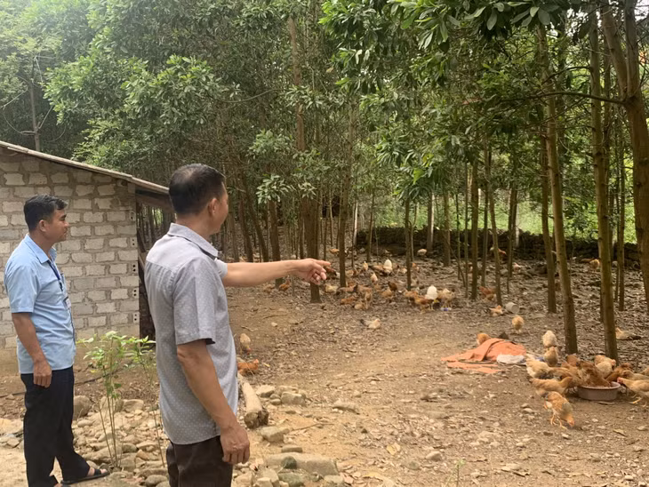 Anh Vi Văn Minh (bên phải) đã mạnh dạn chuyển từ nuôi gà nhỏ, lẻ, sang nuôi tập trung và làm trang trại phát triển kinh tế gia đình.
