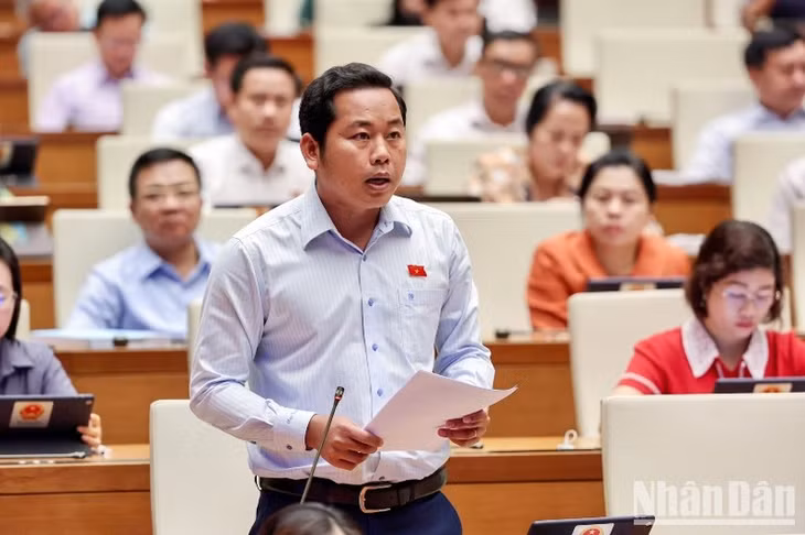 Đại biểu Dương Tấn Quân (Bà Rịa-Vũng Tàu) phát biểu thảo luận. (Ảnh: DUY LINH)