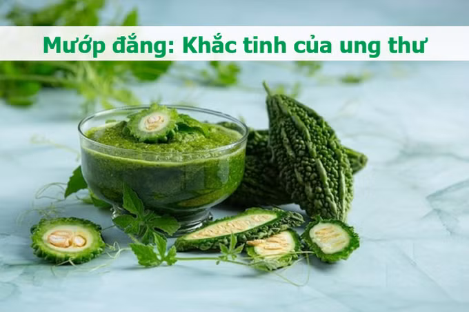Các chất trong chiết xuất mướp đắng có thể "cắt" nguồn sống của tế bào ung thư (Đồ họa: Minh Nhật).