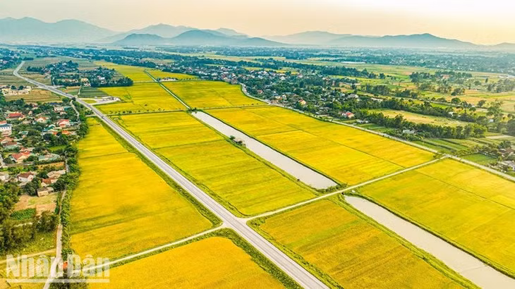 Diện mạo làng quê nông thôn mới cũng tràn đầy sức sống mới.