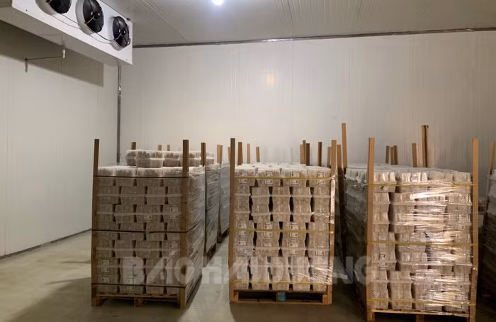 Lô vải thiều Thanh Hà đang được chiếu xạ tại TP Hồ Chí Minh để xuất khẩu sang Mỹ (Ảnh do Công ty TNHH Sản xuất thương mại dịch vụ Rồng Đỏ cung cấp)