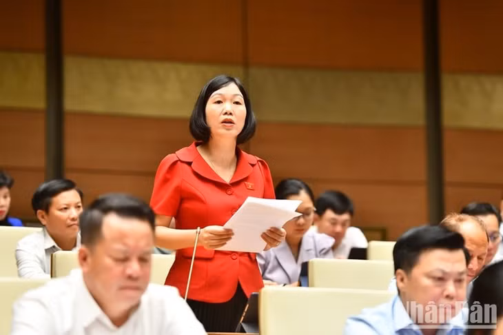 Đại biểu Nguyễn Thị Lan Anh (Lào Cai) phát biểu. (Ảnh: ĐĂNG KHOA)