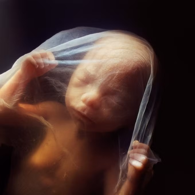 Trong bụng mẹ, thai nhi nổi trong một chất lỏng trong suốt và có màu hơi vàng (Ảnh minh họa: National Geographic).