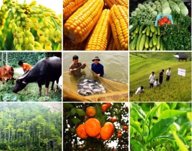 Vi phạm hành chính về trồng trọt bị phạt tối đa 100 triệu đồng.