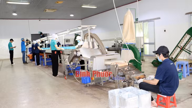 Bình Phước có sản phẩm OCOP 5 sao đầu tiên ảnh 1 Bình Phước có sản phẩm OCOP 5 sao đầu tiên ảnh 1