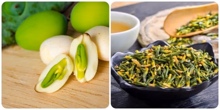 Tâm sen có tác dụng gì là băn khoăn của nhiều người