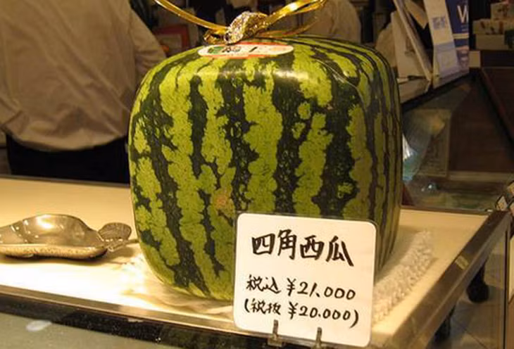 Dưa hấu vuông có sức hút đặc biệt với giới nhà giàu. (Ảnh: Tokyo mart)