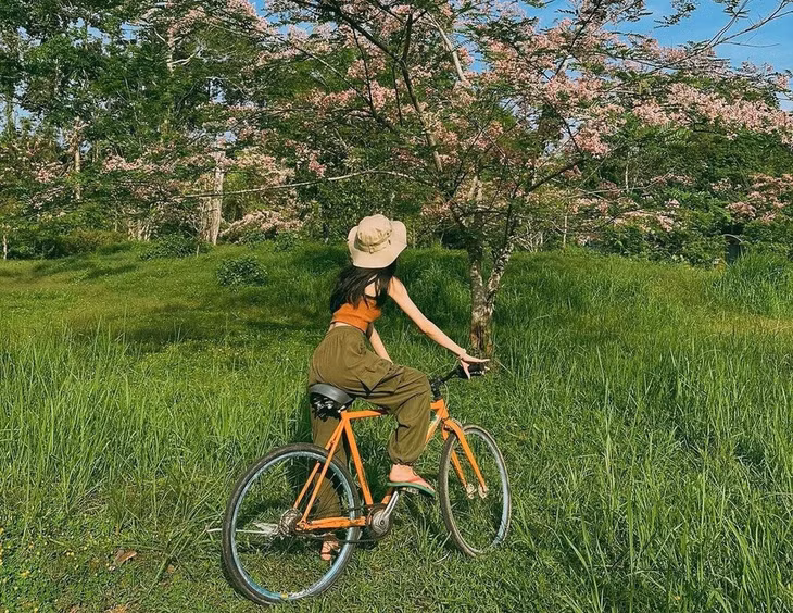Vườn quốc gia Cát Tiên là nơi chữa lành của nhiều du khách trẻ. Ảnh: Kiều My.