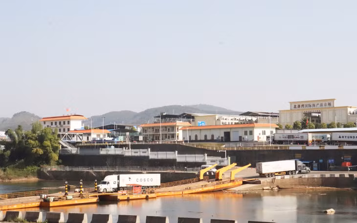 Hoạt động