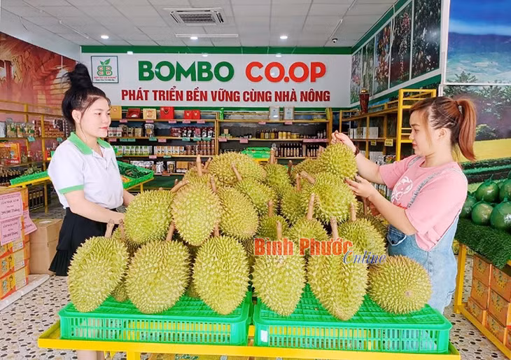Khách hàng tìm đến trụ sở chính của HTX thương mại, dịch vụ Bom Bo Bình Phước tại TP. Đồng Xoài để mua hàng