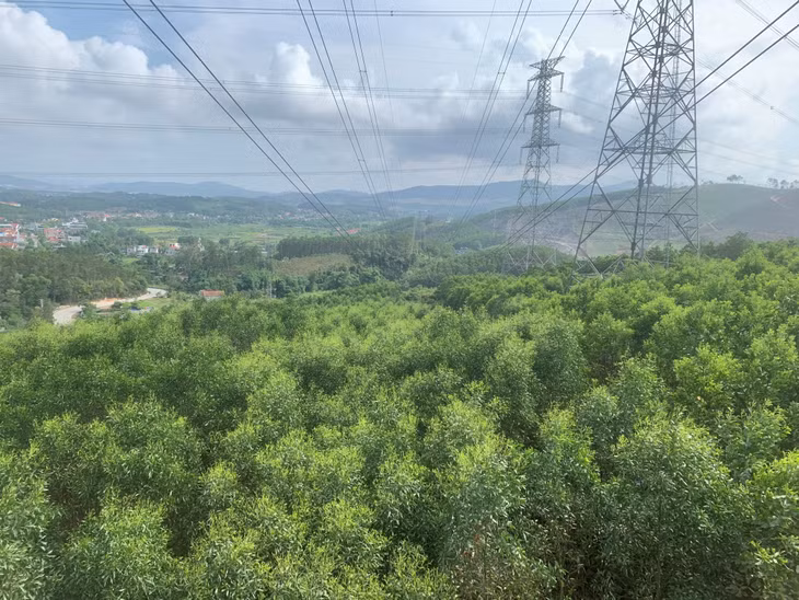 Đường dây 220kV Quảng Ninh - Cẩm Phả.