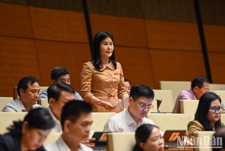 Đại biểu Bùi Thị Quỳnh Thơ (Hà Tĩnh) phát biểu thảo luận tại phiên họp chiều 23/6. (Ảnh: DUY LINH)