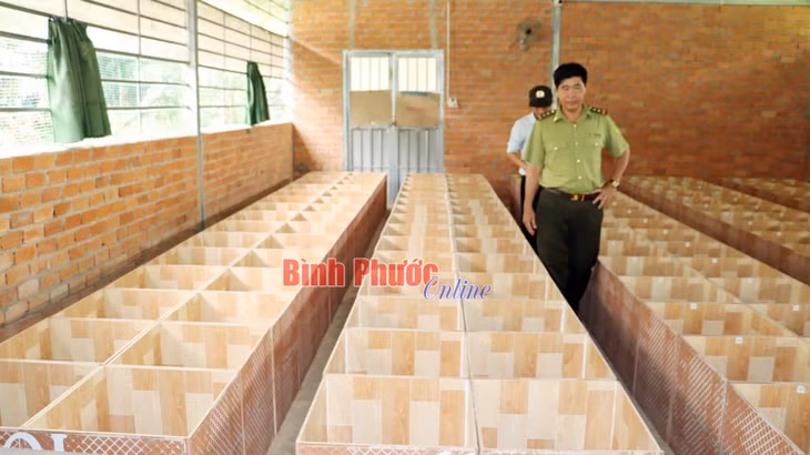 Bài cuối: Hưởng lợi lớn từ rừng ảnh 5 Bài cuối: Hưởng lợi lớn từ rừng ảnh 5