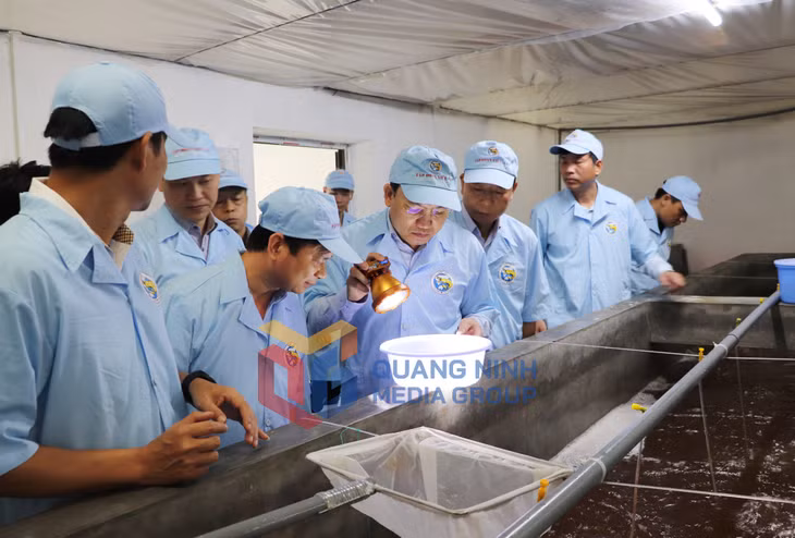 Đồng chí Nguyễn Xuân Ký, Ủy viên Trung ương Đảng, Bí thư Tỉnh ủy, Chủ tịch HĐND tỉnh, kiểm tra Công ty TNHH Việt Úc Quảng Ninh (huyện Đầm Hà).