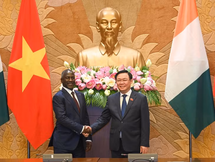 Chủ tịch Quốc hội Vương Đình Huệ và Chủ tịch Quốc hội Adama Bictogo chủ trì buổi hội đàm giữa Quốc hội hai nước. (Ảnh: DUY LINH)