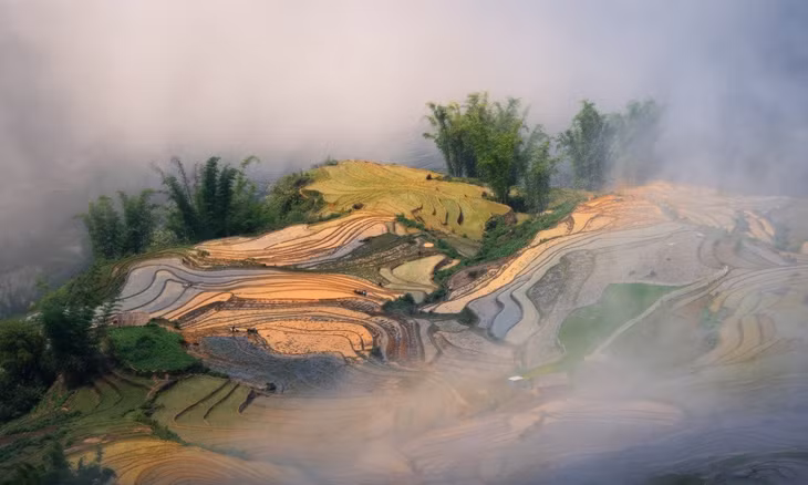 Ruộng bậc thang Lào Cai mùa nước đổ ảnh 8