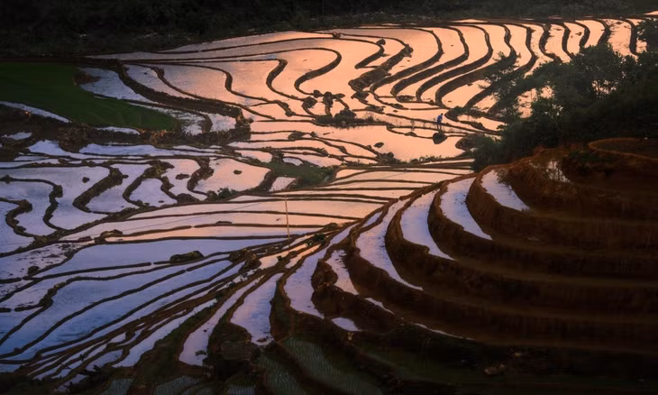 Ruộng bậc thang Lào Cai mùa nước đổ ảnh 3