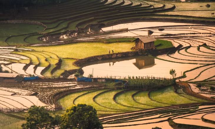 Ruộng bậc thang Lào Cai mùa nước đổ ảnh 6