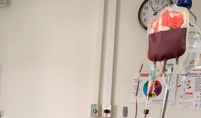 Bệnh viện Huyết học - Truyền máu TP Cần Thơ thông báo tạm dừng cung cấp máu, chế phẩm máu cho Bệnh viện Đa khoa tỉnh Bạc Liêu, chỉ cung cấp cho người bệnh cấp cứu (Ảnh minh họa: H.T)
